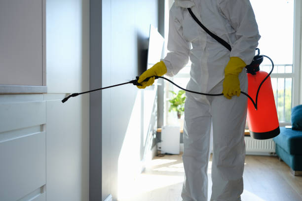 Best Emergency Mold Remediation  in Paducah, TX