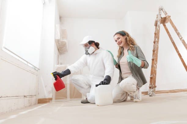 Best Mold Prevention Services  in Paducah, TX