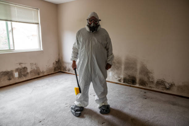 Trusted Paducah, TX Mold Removal Experts